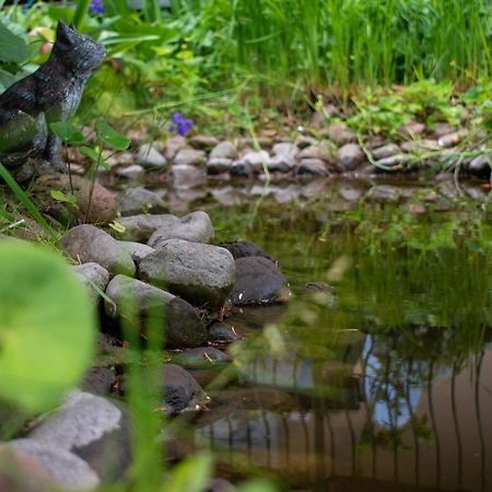 ミエルノ Misterモーテル エクステリア 写真